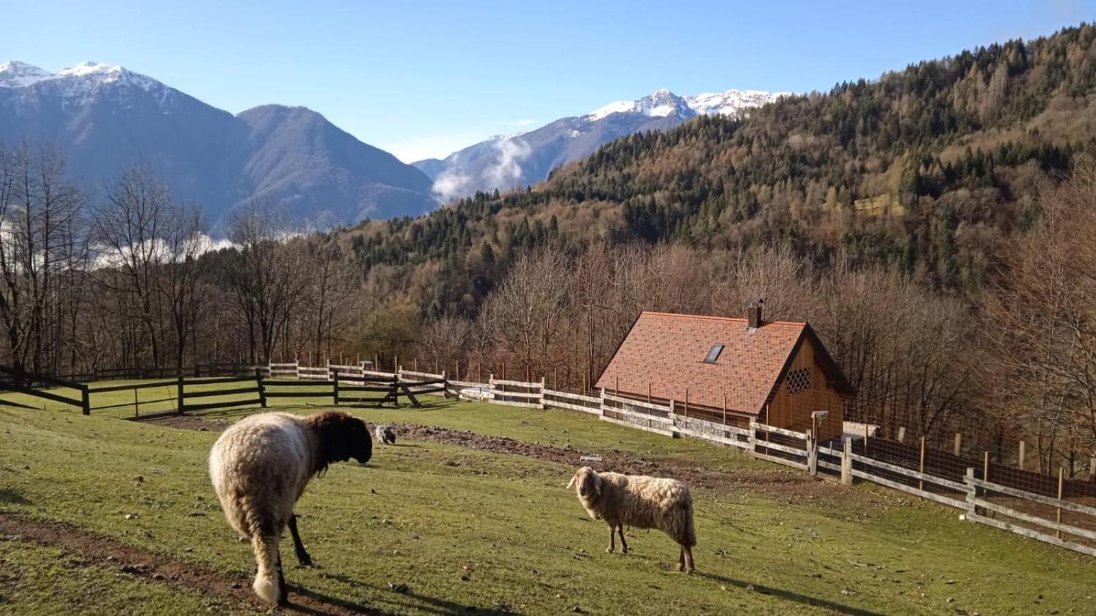Chalet Navauce Raveo Eksteriør bilde